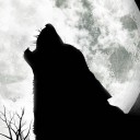 สมาชิกหมายเลข 1546990