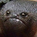 สมาชิกหมายเลข 701591