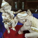 สมาชิกหมายเลข 1161154