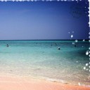 ฉันชอบกินปาปิก้า