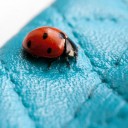 สมาชิกหมายเลข 2139963