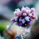 สมาชิกหมายเลข 896269