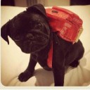 สมาชิกหมายเลข 896282