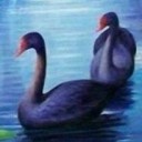 สมาชิกหมายเลข 1437624