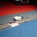 สมาชิกหมายเลข 2532453