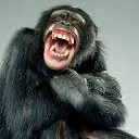 พ่อบอกว่าแม่ปิดประตูแล้ว