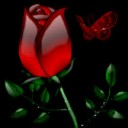 สมาชิกหมายเลข 3378394