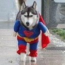 สมาชิกหมายเลข 896628