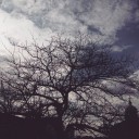 สมาชิกหมายเลข 1830046