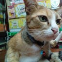 สมาชิกหมายเลข 2976187