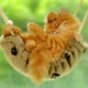 สมาชิกหมายเลข 1247793