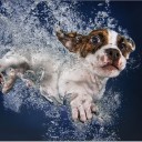 สมาชิกหมายเลข 1724989