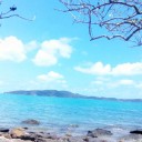 สมาชิกหมายเลข 838910