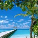 สมาชิกหมายเลข 2166400