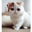 สมาชิกหมายเลข 977301