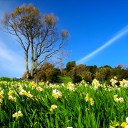 สมาชิกหมายเลข 896521