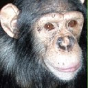 สมาชิกหมายเลข 1295861