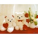 สมาชิกหมายเลข 1295900