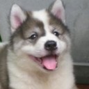 สมาชิกหมายเลข 1755349