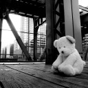 monabear