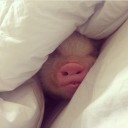 น้ำค้างวิลล่า