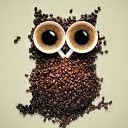 สมาชิกหมายเลข 2534522