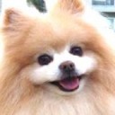 สมาชิกหมายเลข 3377565