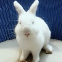 สมาชิกหมายเลข 2120793