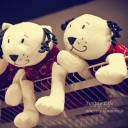 สมาชิกหมายเลข 2530141