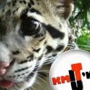 สมาชิกหมายเลข 827534