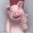 หนูพูลที่โดดเดี่ยว