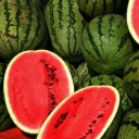 ดอกไม้กำลังจะบาน