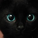 สมาชิกหมายเลข 898388