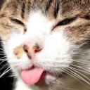 สมาชิกหมายเลข 898402