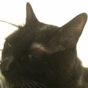 สมาชิกหมายเลข 1820413