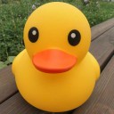 PiggyDucky