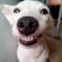 สมาชิกหมายเลข 2030175