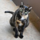 กำลังใจจากอนาคต