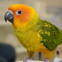 สมาชิกหมายเลข 899016