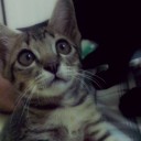 สมาชิกหมายเลข 1247908