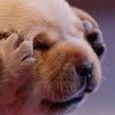 สมาชิกหมายเลข 2536084