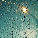 ฝนตกไม่ทั่วฟ้า