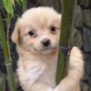 สมาชิกหมายเลข 899454