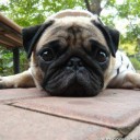 สมาชิกหมายเลข 899460