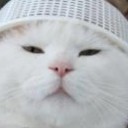 สมาชิกหมายเลข 899558