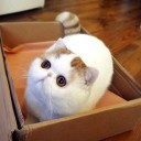 สมาชิกหมายเลข 1298550