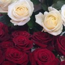 สมาชิกหมายเลข 2536440