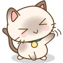 ลูกแมว 9 แต้ม