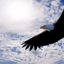 สมาชิกหมายเลข 2093853