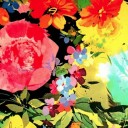 สมาชิกหมายเลข 703126